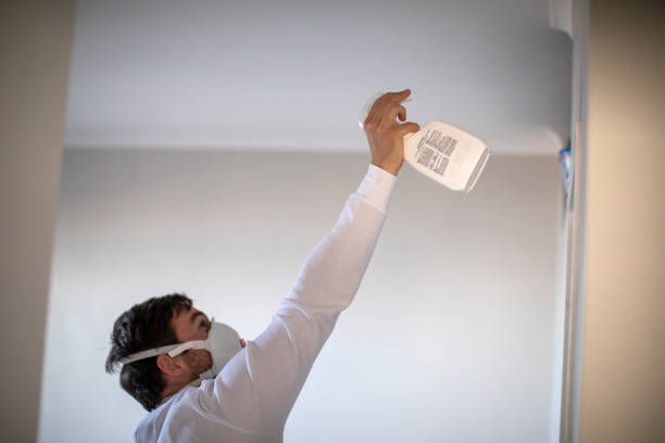 Trusted Wesley Chapel, FL Mold Removal Experts