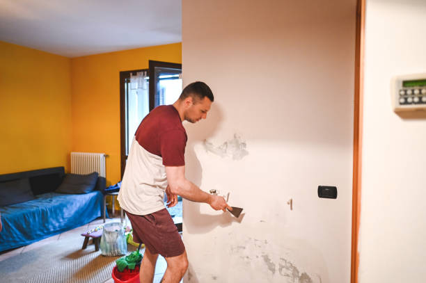 Best Fast Mold Removal  in Wesley Chapel, FL